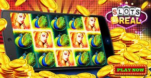Volleyball live match scoring on 10 togel platform